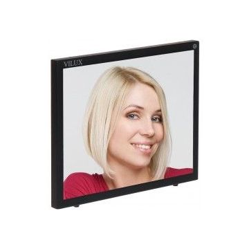 Monitor VGA, 2XVIDEO, HDMI, AUDIO, TELECOMANDA VMT-176M 17 