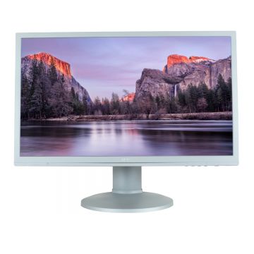 AOC E2460P  24 LED  1920 x 1080 Full HD  16:9  displayport  negru - argintiu  monitor refurbished