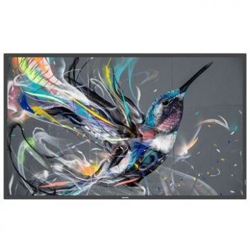 Display Q-Line 75inch LED-backlit LCD 4K  75BDL3650Q  Negru