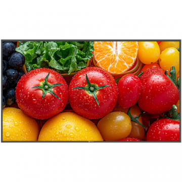 AG neovo Monitor LED, Display Profesional, VA, AG Neovo QM-5503, 55 inch, 4K Ultra HD 3840 x 2160 pixeli, HDMI, USB-C, 5 ms, Negru