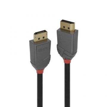 Cablu Lindy LY-36481, 1m, DisplayPort 1.4