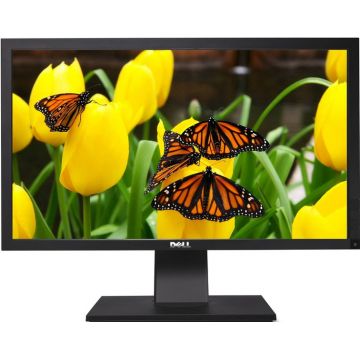 Monitor Second Hand Profesional Dell P2411HB, 24 Inch LED Full HD, VGA, DVI, USB